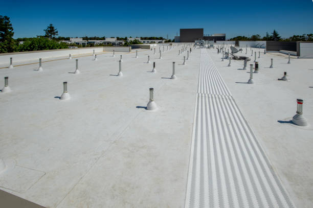 Best Skylight Installation and Repair  in Bonner West Riverside, MT